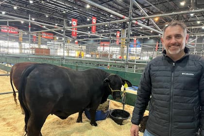 Con cinco ejemplares Lucas Lingua está, por primera vez, en la pista palermitana