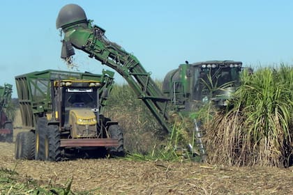 Con diferentes tecnologías, la caña apunta a dar otro salto de productividad