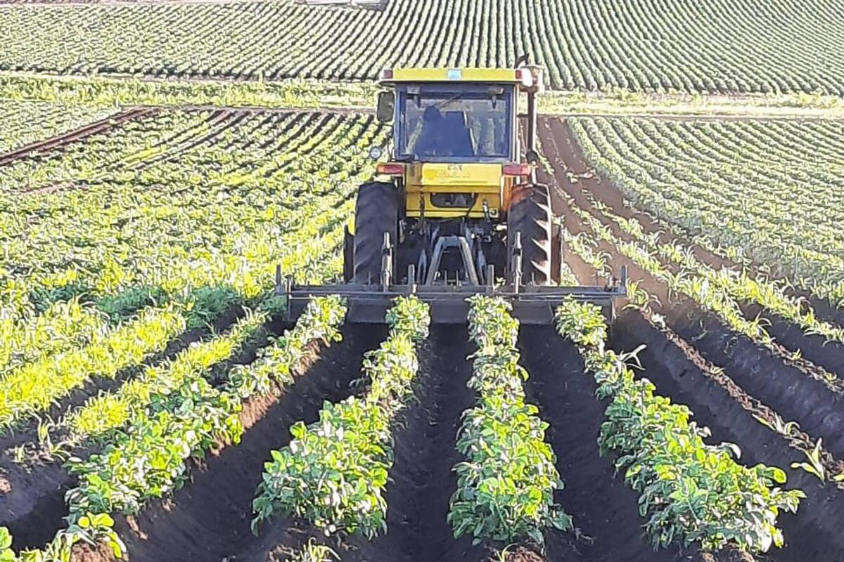 Con distintas prácticas se busca una producción sustentable