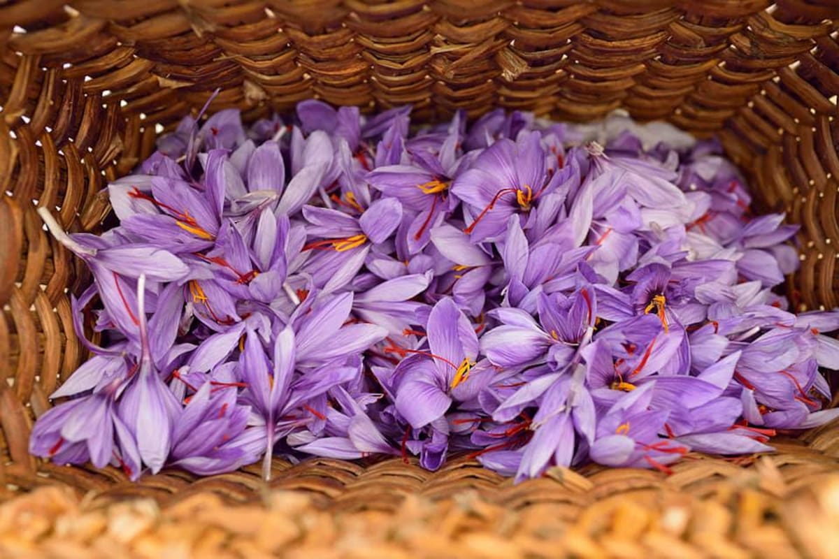 Con dos monedas de cobre se puede alargar la vida de las flores hasta por dos semanas