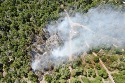 Con drone buscan evitar los incendios forestales provocados por las personas en el Parque Nacional Lanín.