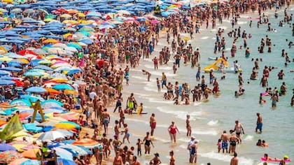 Con el calor las proteínas se desnaturalizan -pierden su estructura, se derriten- lo cual afecta y mucho a las neuronas