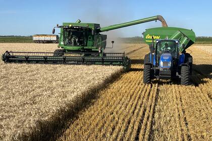 Con el correr del almanaque, subieron los precios de los fertilizantes y bajó el precio del grano, lo que se tradujo negativamente en los márgenes