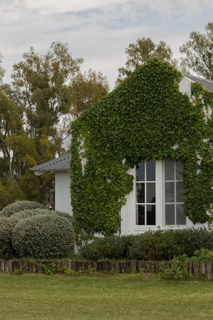Inspirada en la Provence: Con los años y nuevas pasiones, un arquitecto convirtió su casa de fin de semana en vivienda casi permanente
