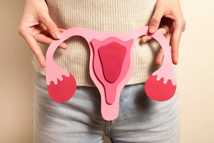 Con el paso de los años la mujer paulatinamente deja de producir estrógenos
y sus niveles de testosterona disminuyen