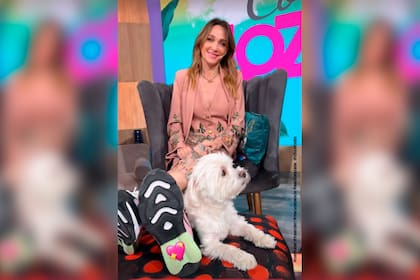 Con el pie en alto, y con su perro Copito, Verónica Lozano volvió a su programa