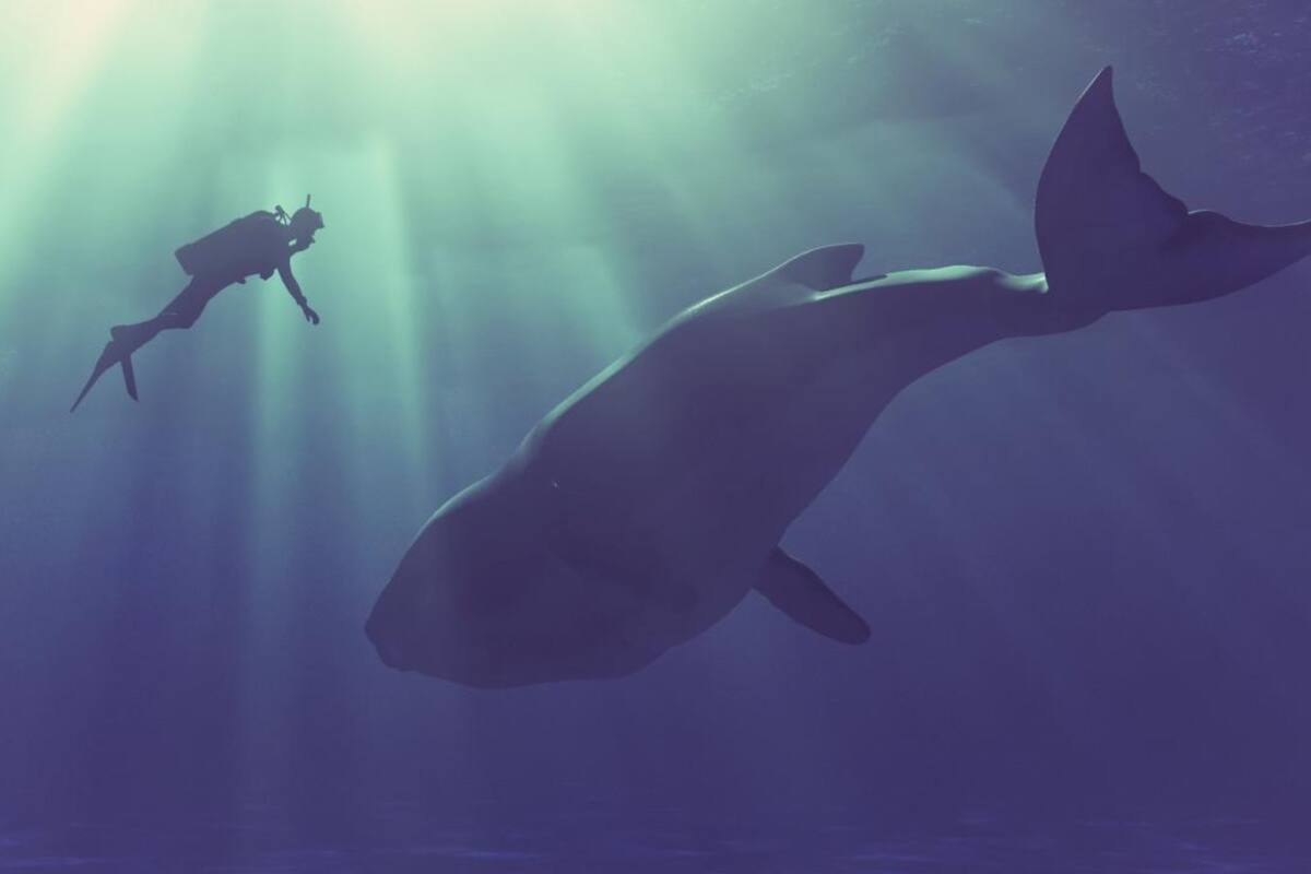 Con el proyecto se espera que en unos años el hombre pueda descifrar el comportamiento animal (Foto: iStock)