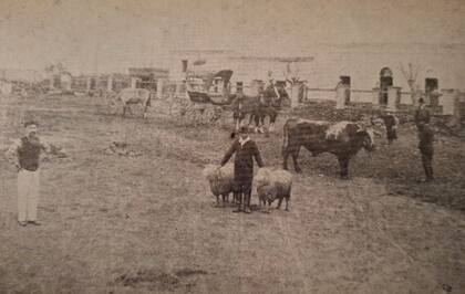 Con esfuerzo, Aguerre pasó de alquilar un campo fuera de la frontera a comprar primero Santa Isabel y luego Cruz de Guerra, dos establecimientos que marcaron el inicio de la expansión familiar donde criaba ovejas y el ganado criollo