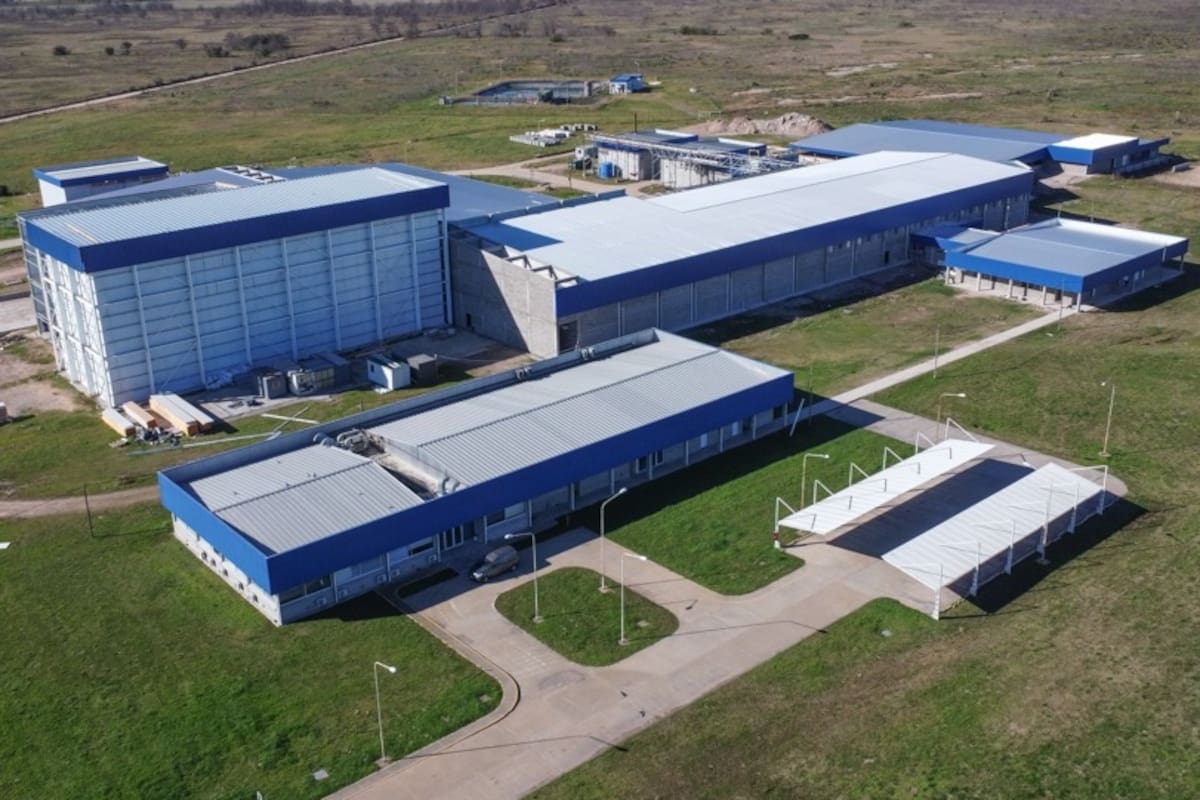 Con esta inversión, Grupo Pacuca se consolida como un actor central del sector porcino nacional, dijeron