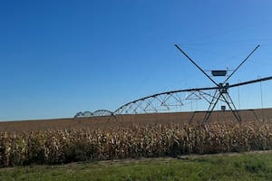 El Gobierno definió qué inversiones del agro podrán acceder a beneficios fiscales del RIMI sin montos mínimos