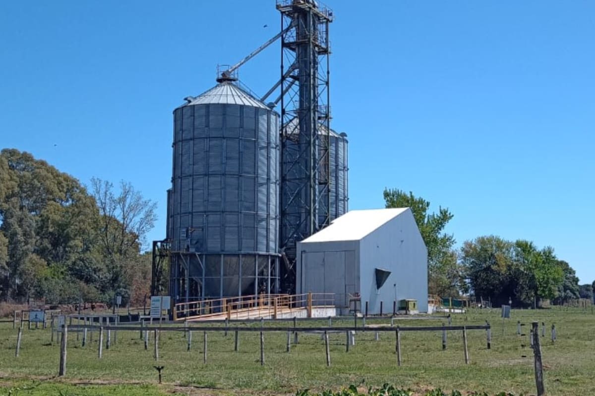 Con esta última adquisición, Louis Dreyfus Company posee 11 plantas de acopio en todo el país