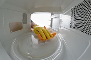 Con estos trucos podés despreocuparte de tener cucarachas en tu hogar