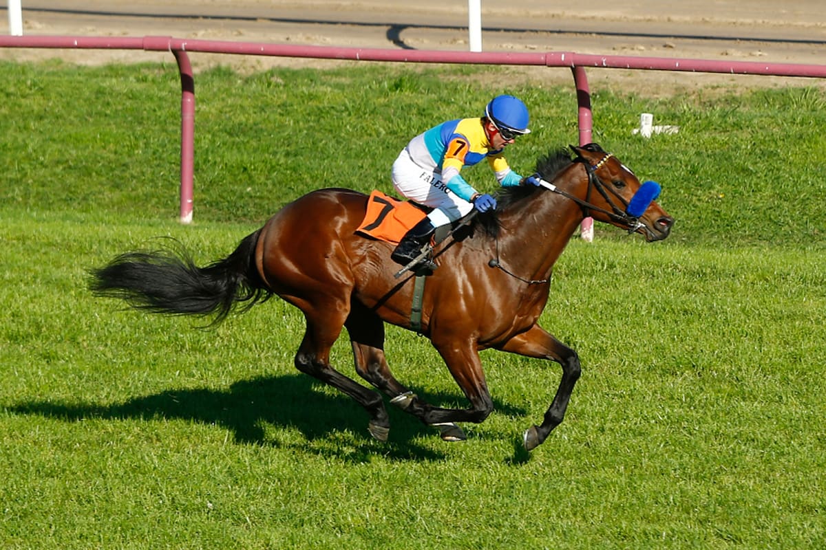 Con Fromm, Pablo Falero buscará su quinto triunfo en el GP Carlos Pellegrini