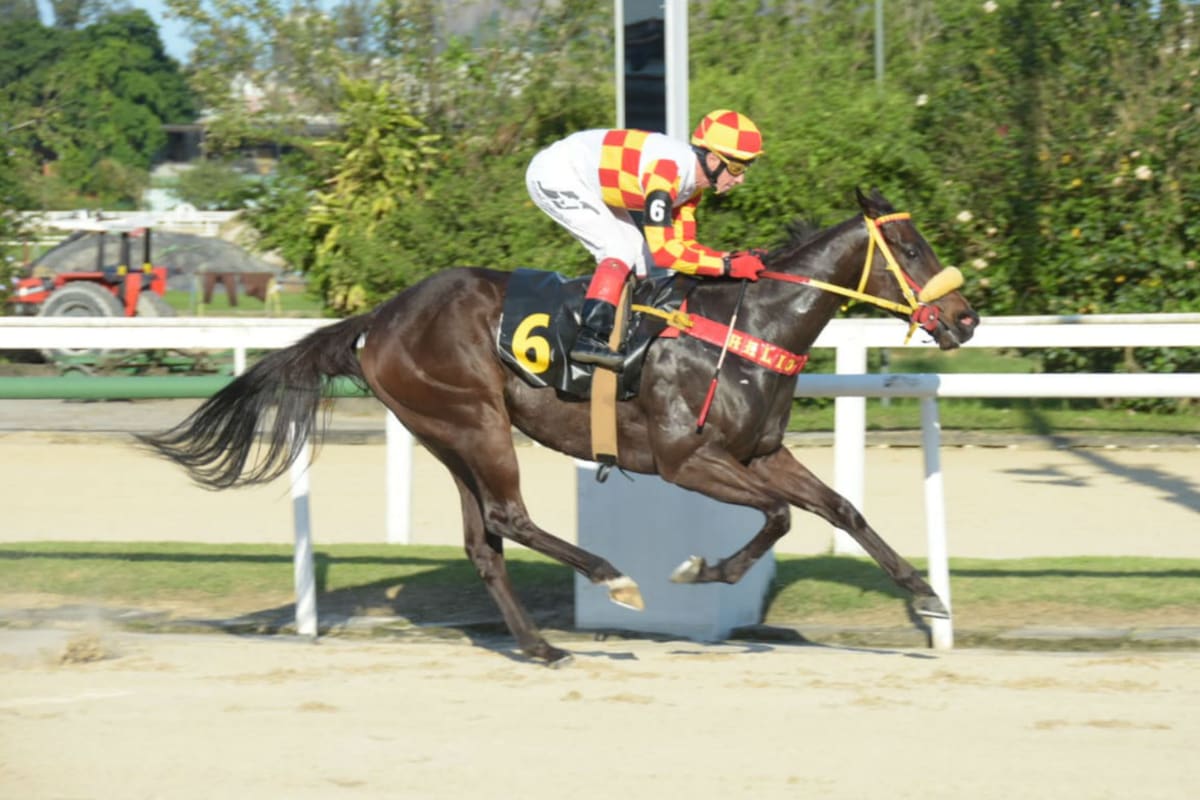 Con Gloriosa Negra, Jorge Ricardo logró su victoria número 13.000