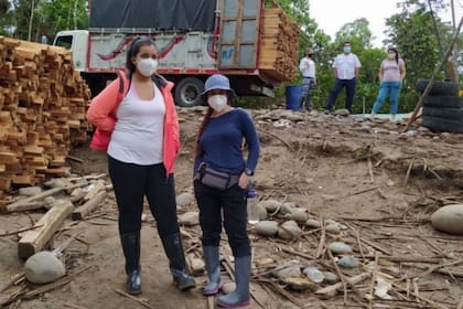 Con inversión y control, las fuentes consultadas por BBC Mundo confían en que la exportación de balsa es una gran oportunidad económica para el país