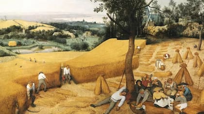 Con la agricultura y la ganadería, hubo que cuidar bienes materiales y los hombres empezaron a crear una elite en la que la mujer perdía cada vez más autonomía