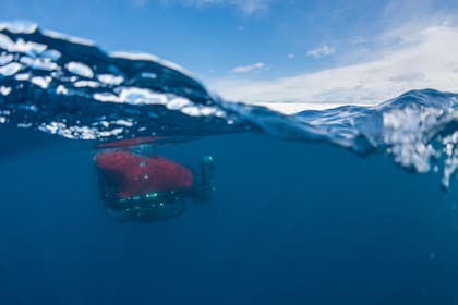 Con la expedición, motorizada por Greenpeace, se busca crear un santuario en el Mar de Weddell para reducir el impacto de la pesca indiscriminada; explorar la vida bajo el agua es otra de las metas