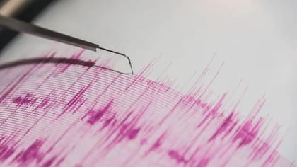 "Con la instrumentación que tenemos hoy día y el estado del conocimiento, predecir el instante de un terremoto es imposible"