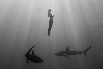 Con la intención de romper tabúes, una modelo de Playboy posó en una sesión de fotos con tiburones para demostrar que son inofensivos