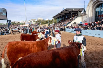 Con la jura concluida, Curone hizo un balance del nivel observado durante toda la jornada y destacó que la raza atraviesa un buen presente