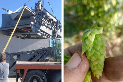 Con la máquina redujeron el tiempo de cosecha en un 85%