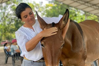 Con “La Monedita", Cataldi proyecta incorporarlos en terapias asistidas: “Tengo ganas de incluir la mula en equinoterapia"