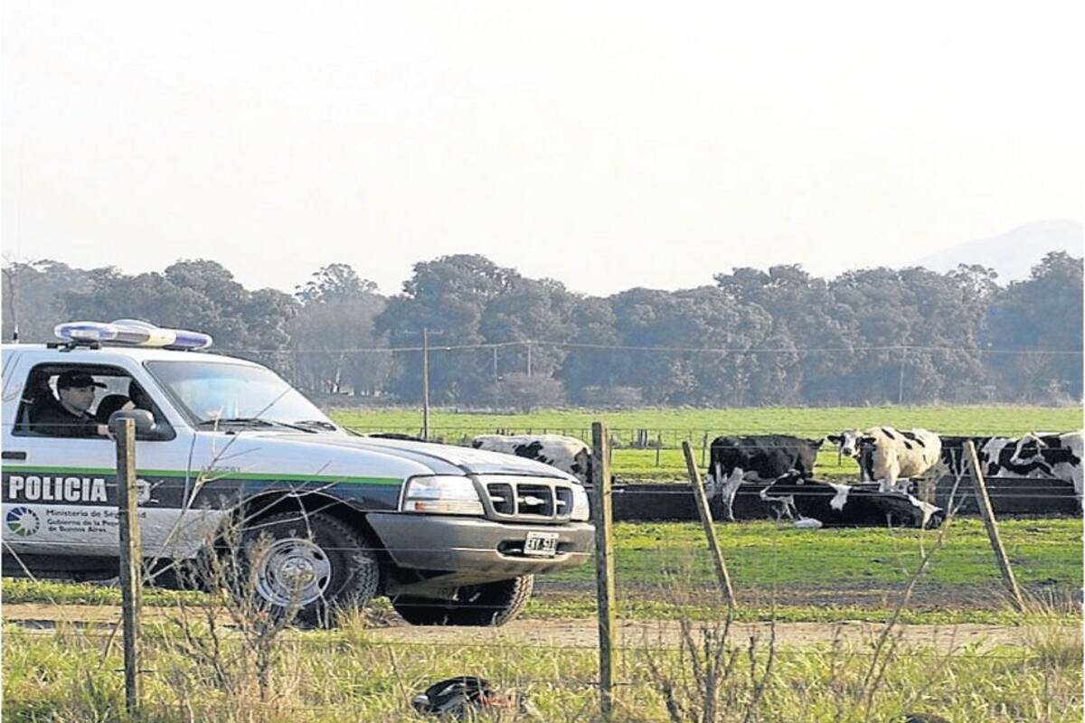 Con la patrulla rural no alcanza para frenar la inseguridad