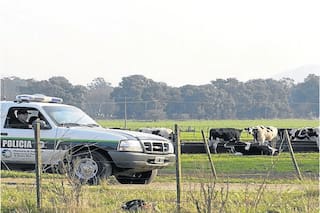 Piden más móviles y personal policial para que recorran los campos