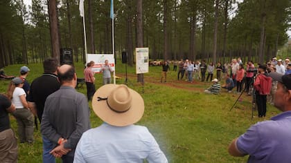 Con la presencia de 500 productores, profesionales y estudiantes, la jornada organizada por el Ipcva se realizó en los campos misioneros de las familias Gruber y Weber