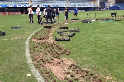 Con la venta de plantines Boca recaudó poco más de U$S 300.000
