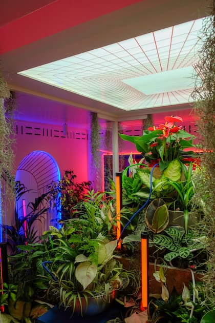 Con las plantas de interior con las condiciones adecuadas de luz y humedad, pueden lograrse diseños que permanecen en el tiempo