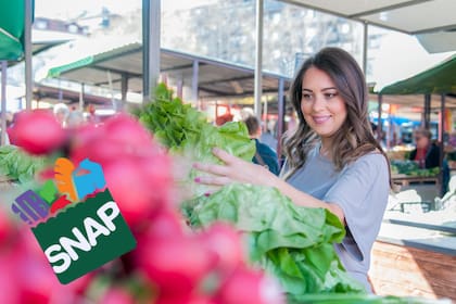 Con los cupones del SNAP los beneficiarios pueden asegurar una buena alimentación en el estado de California (Freepik)