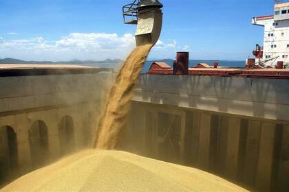 Con los derechos de exportación se gravan los ingresos brutos de los cultivos