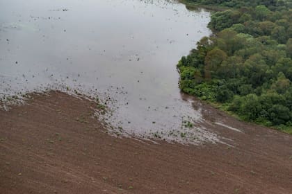 Con los desmontes, son cada vez más frecuentes las inundaciones en el norte y el litoral cada verano