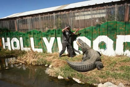 Con más de 30 años en la industria del entretenimiento, Morris se convirtió en uno de los reptiles más reconocidos de Hollywood
