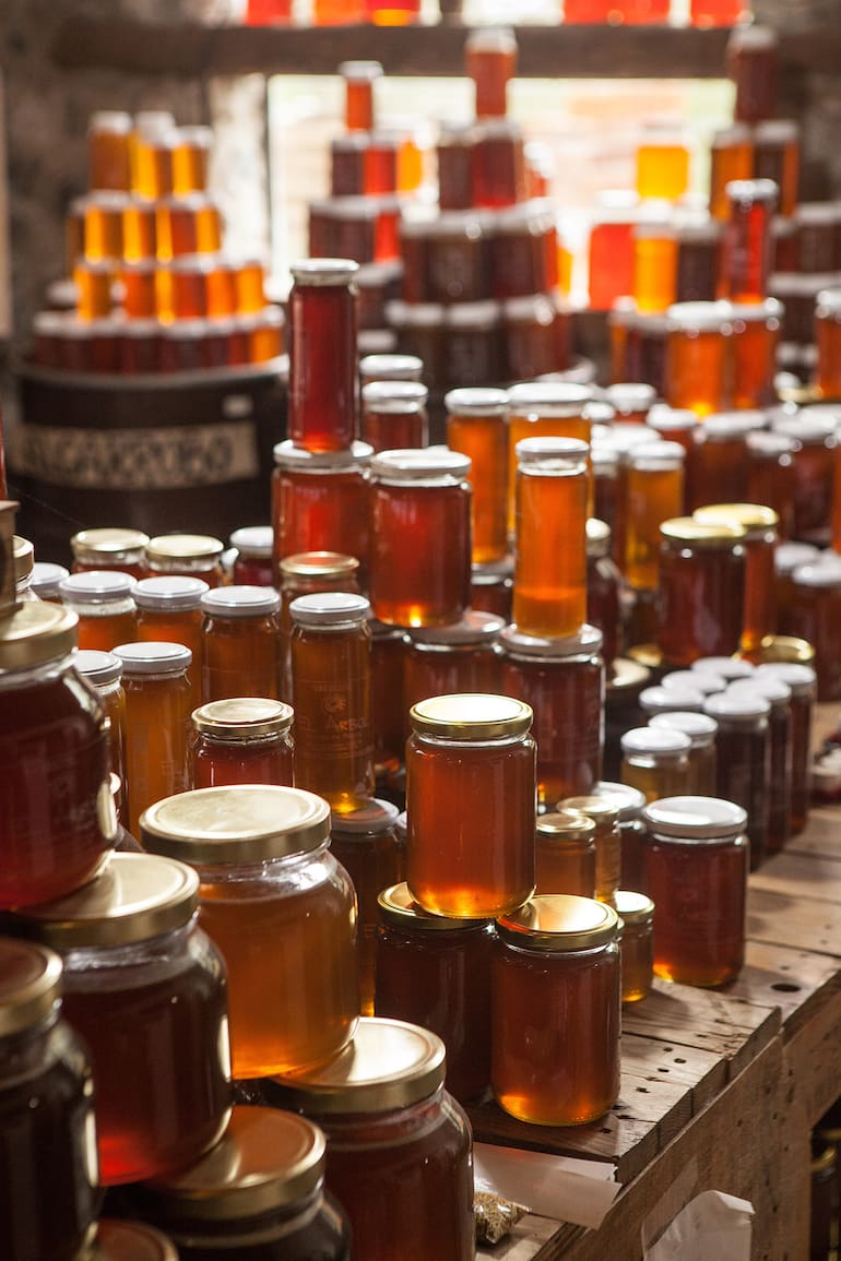 Con métodos orgánicos producen 100.000 kilos anuales de mieles.