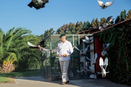 "Con mis palomas participo de las carreras que se organizan los domingos en San Pedro. Esto es algo que vengo haciendo desde los 12 años. Las palomas tienen la magia de hacerte volar; de alguna manera, volás con ellas", reveló en 2015.