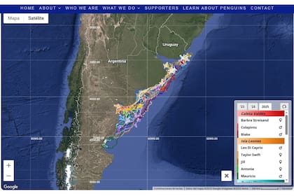 Con nombres de celebridades, es posible rastrear los viajes de los pinguinos