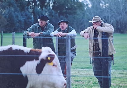 Con Octavio Caraballo y Ángel Ríboli, administrador de Cabaña Las Lilas, seleccionando los toros para el remate