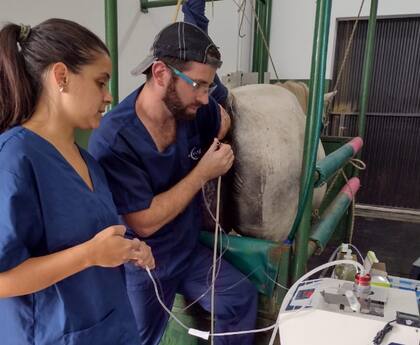 “Con OPU, podemos recuperar ese potencial reproductivo antes de que se pierda y fertilizarlo en el laboratorio a través de ICSI", dijeron