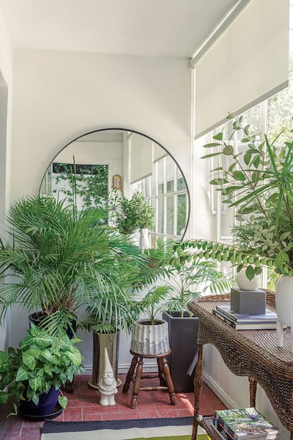 Con plantas delante, este espejo tiene más la intención de crear una escena que de ser el lugar donde nos damos una última miradita antes de salir.