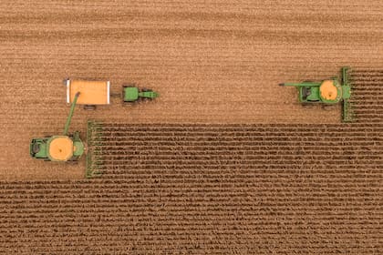 Con precios en baja, perfiles de humedad favorables y una mayor intención de siembra de maíz, el uso de nutrientes podría volver a crecer este año.