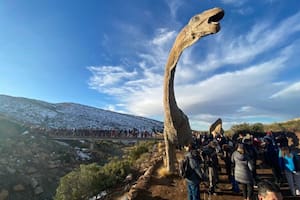 Con rastros únicos y réplicas de animales, se inauguró el Parque Municipal de Huellas de Dinosaurios