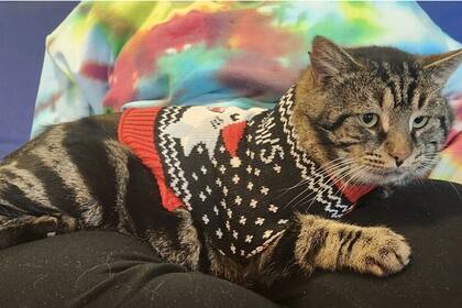 Con su abrigo de Navidad