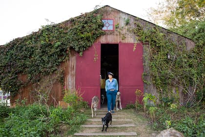Con su fundación, Isabel pelea para que la Justicia deje de considerar cosas a los animales. "En la Argentina, los animales no son sujeto de derecho. Pero las leyes no salen hasta que la sociedad está preparada”.