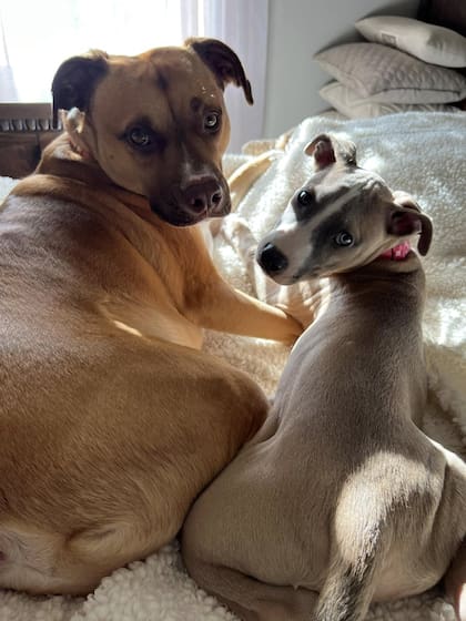 Con su hermana Miss Poppy.