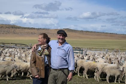Con su majada de ovejas, Tomás Ayerza y Cristina Goodall en la Estancia Viamonte, a 42 kilómetros al sur de la ciudad de Río Grande