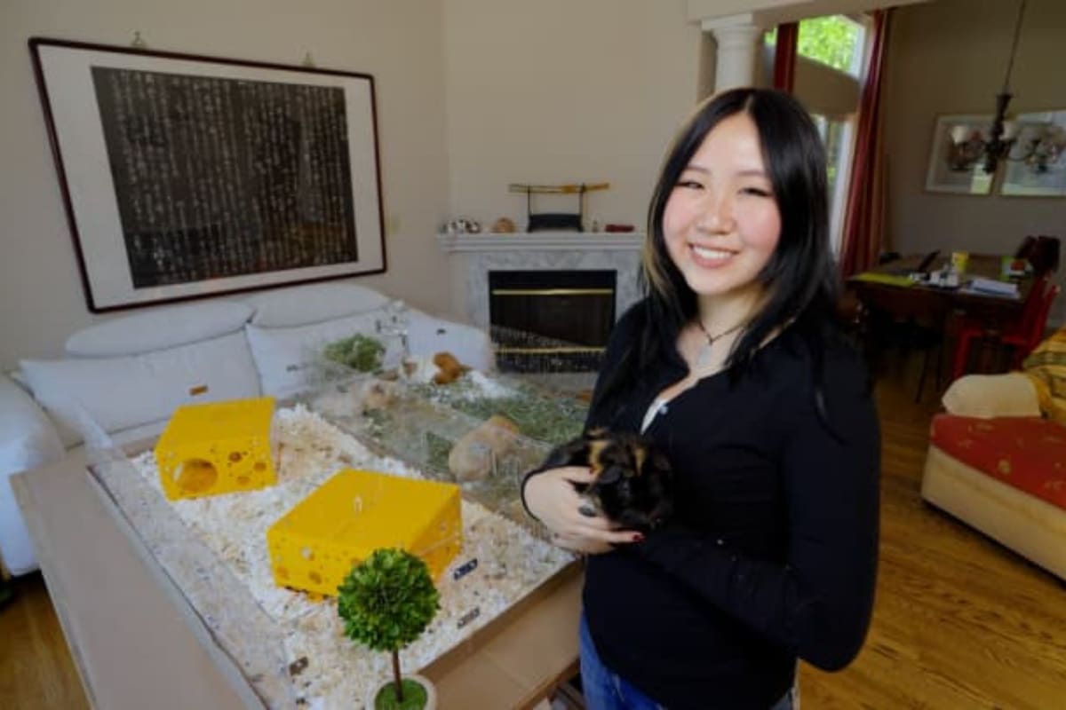 Con tan solo 17 años, Bella Lin logró lo que muchos empresarios de su edad solo sueñan: es fundadora y directora ejecutiva de GuineaLoft (Foto: CNBC)