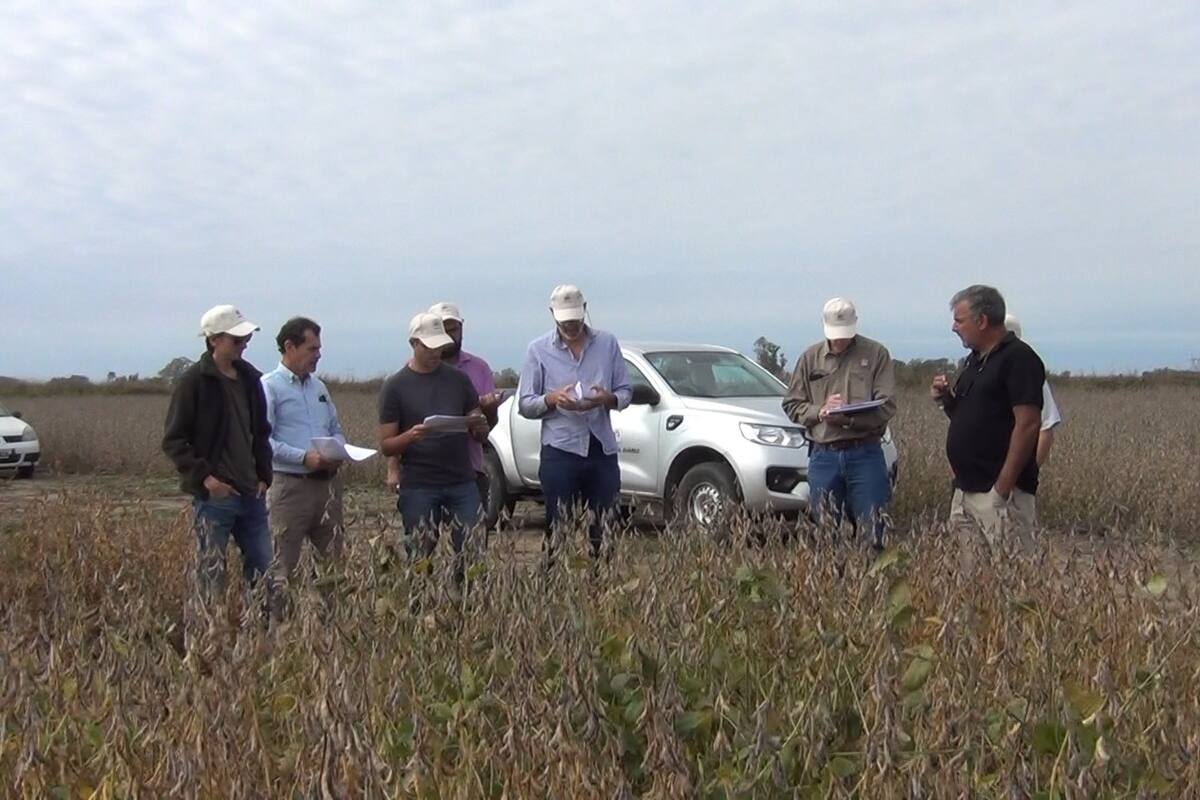 Con un enfoque territorial y colaborativo, el INTA impulsa un modelo de innovación basado en redes entre actores públicos y privados