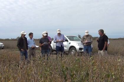 Con un enfoque territorial y colaborativo, el INTA impulsa un modelo de innovación basado en redes entre actores públicos y privados